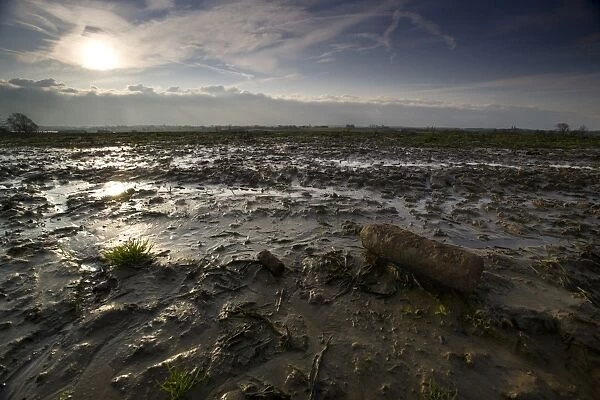 An unexploded shell lies amidst the mud of Passchendaele. - Ypres