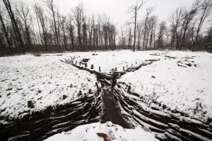 <b class=qtipBold><figcaption>Bayernwald Trenches - Messines</figcaption></b><br>Trenches at Bayernwald - "Bavarian Wood" - also known as Bois Quarente.<br><em>© Mike St. Maur Sheil / westernfrontphotography.com</em> Bayernwald Trenches - Messines