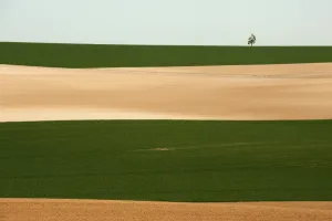 <b class=qtipBold><figcaption>Champagne landscape</figcaption></b><br>Champagne landscape - typical rolling terrain of the region.<br><em>© Mike St. Maur Sheil / westernfrontphotography.com</em> Champagne landscape