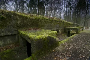 Col Driants command post in the Bois des Caures - Verdun Col Driants command post in the Bois des Caures - Verdun