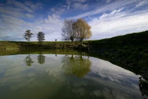 <b class=qtipBold><figcaption>Fields of Battle</figcaption></b><br>Messines Ridge Craters at Hollandse Schuur<br><em>© Mike St. Maur Sheil / westernfrontphotography.com</em> Fields of Battle