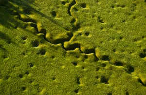 Newfoundland Memorial Park Beaumont Hamel, Somme Battlefield Newfoundland Memorial Park Beaumont Hamel, Somme Battlefield